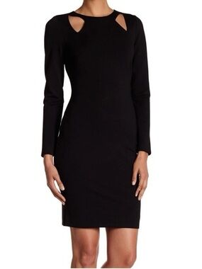Express Midi Longsleeve Cut out Dress